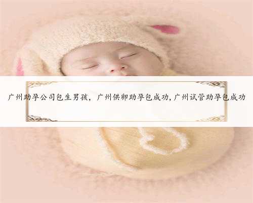 广州助孕公司包生男孩，广州供卵助孕包成功,广州试管助孕包成功
