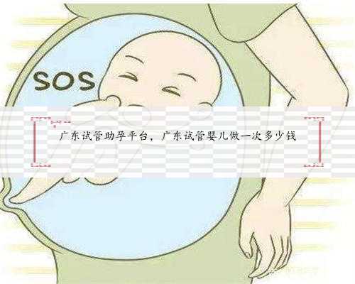 广东试管助孕平台，广东试管婴儿做一次多少钱